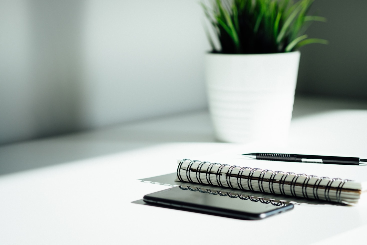 Case Studies: Real Success Stories of Entrepreneurs